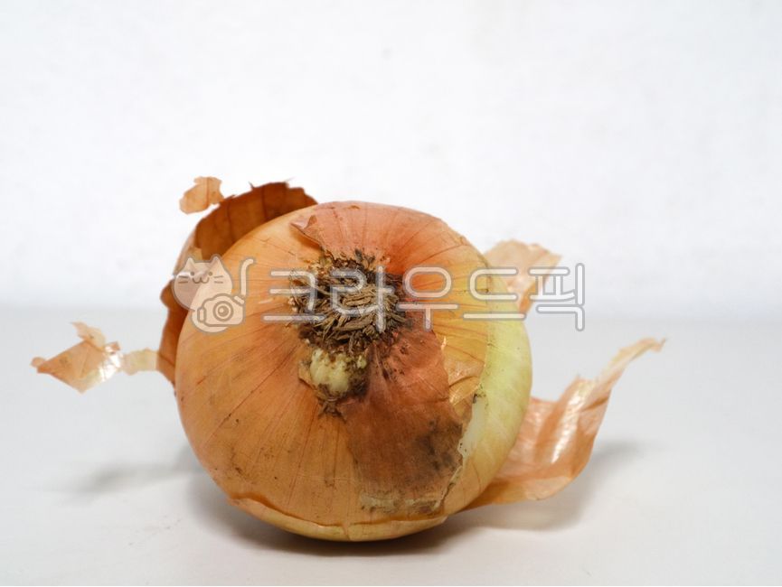 양파,채소,음식재료,양파껍질,onion,food,vegetable,양파뿌리