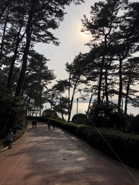 부산,해운대,동백섬,산책,해변,공원