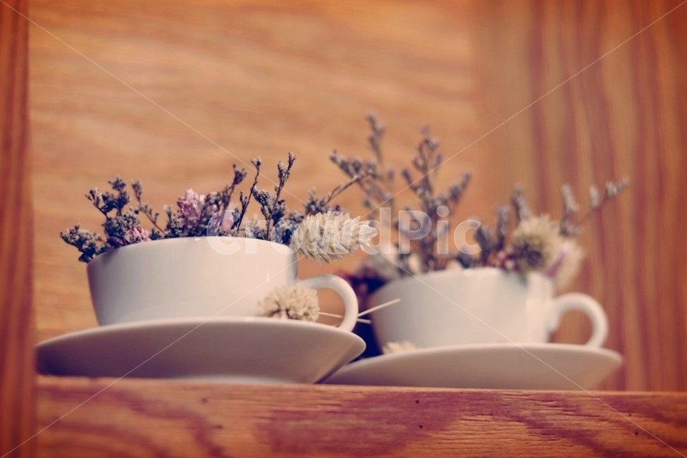 커피잔,꽃꽂이,인테리어,포근함,꽃,리빙,flower,living,드라이플라워