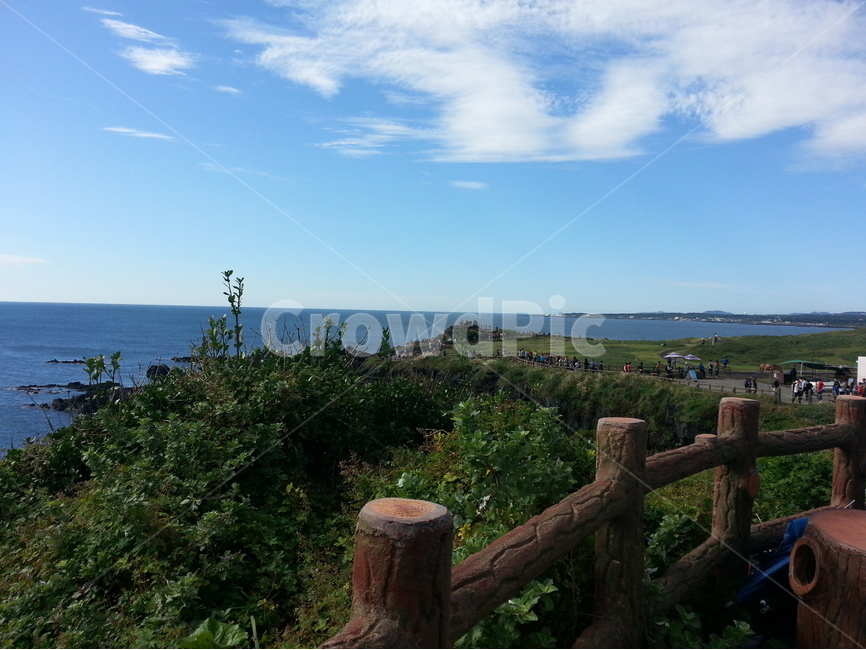 제주,jeju,바다,sea,해안,coast,풍경,landscape,자연,풍경,nature,landscape,한국자연풍경,한국자연경관,korea nature landscape,제주도,jeju,jeju island,tree stump,그루터기