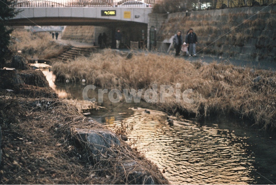 성북천,산책로,노을,햇살,물결,개천,힐링,자연,풍경,nature,landscape