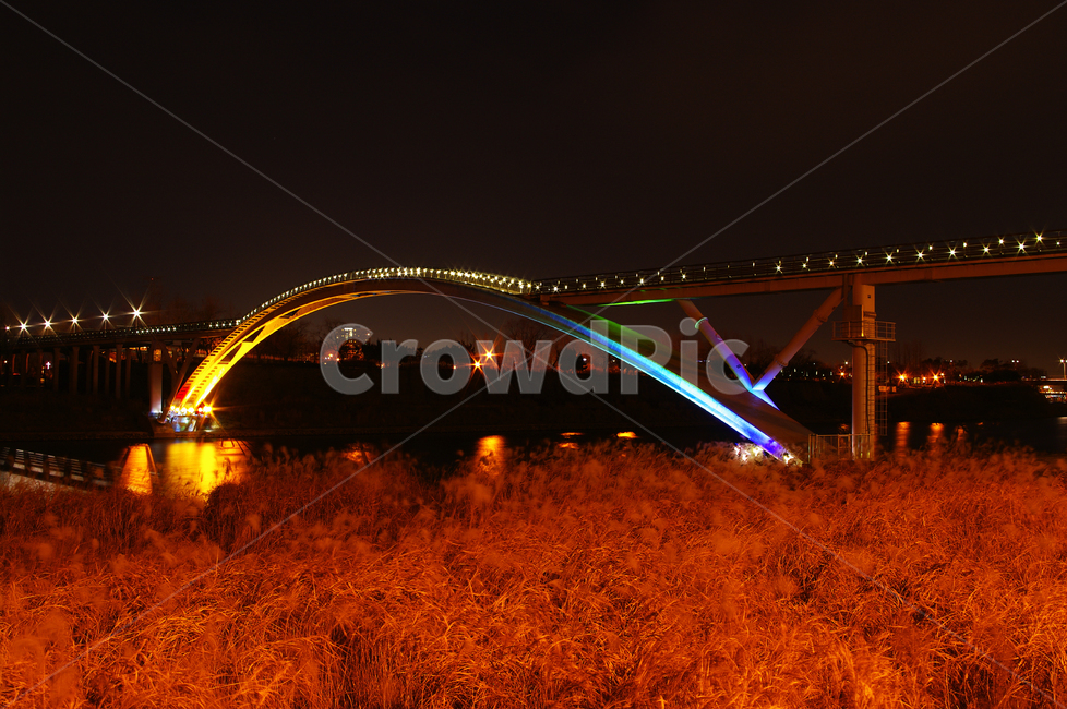 서울,한강,공원,야경,다리,불빛,조명,억새밭,야경,밤,풍경,nightscape,night,landscape,건축물,건물외관,exterior,building,structure,architecture,construction,건물,bridge