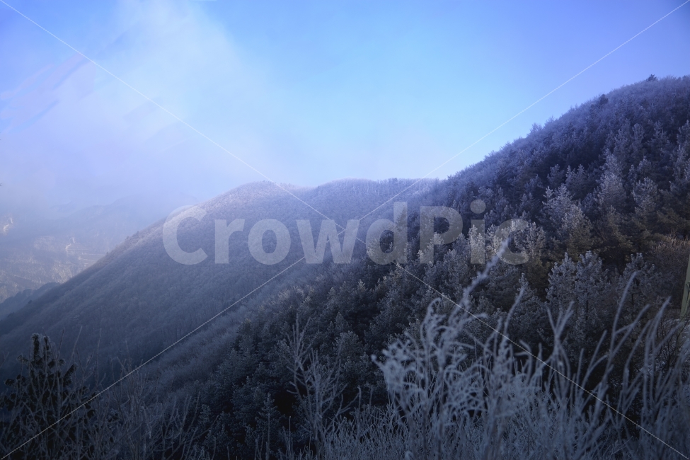 겨울,상고대,함백산,만항제,눈,겨울산,겨울,계절,winter,season,자연,풍경,nature,landscape,한국자연풍경,한국자연경관,korea nature landscape,outdoors,옥외,tree,나무,plant,식물
