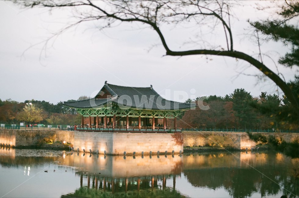 경주,architecture,건축물,건물,신사,신전,temple,야경,밤,풍경,nightscape,night,landscape,랜드마크,landmark,tourist attraction,한국랜드마크,한국관광지,한국명소,korea landmark,korea tourist attraction,building,worship,예배,shrine