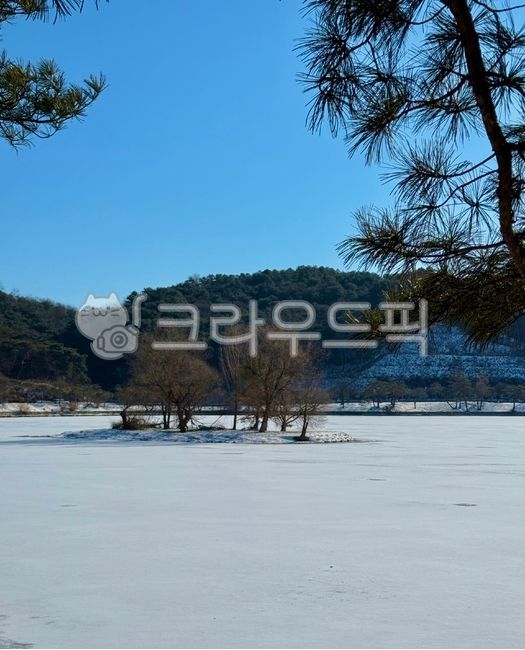 의림지,눈,의림지에내린눈,겨울,제천,소나무