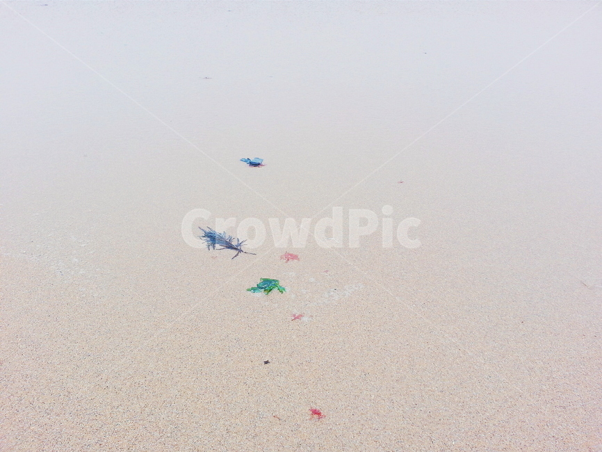 바다,바닷가,해초,모래,감성사진,감성,해변,바다,beach,sea