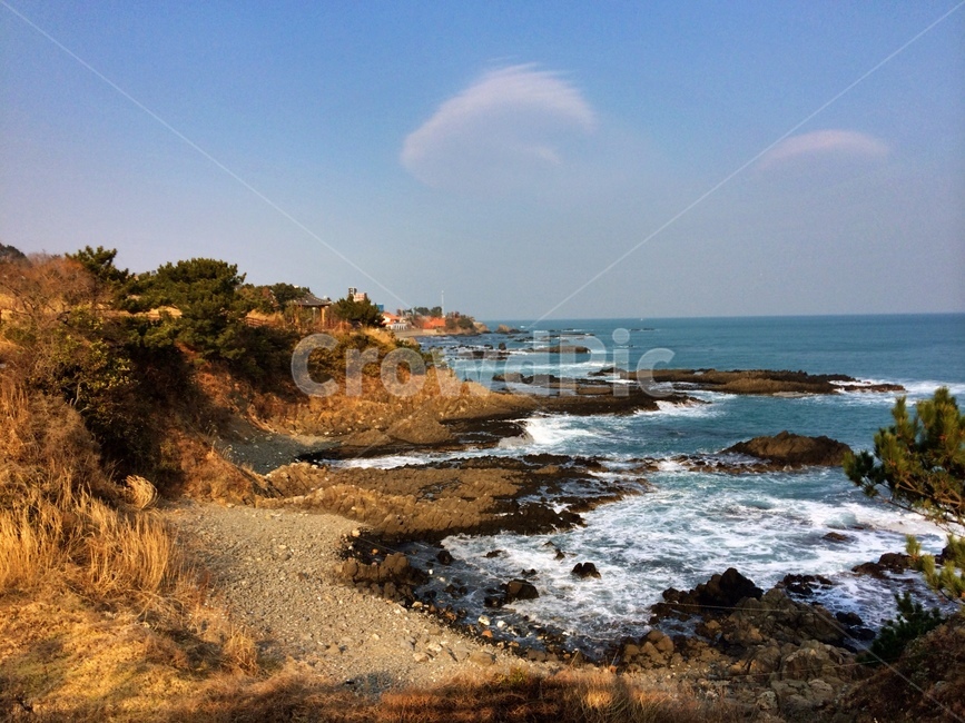 경주주상절리,바다,gyeongju,gyeongjucolumnarjoint,columnarjoint,gyeongjusea,자연,풍경,nature,landscape,한국자연풍경,한국자연경관,korea nature landscape,promontory,곶