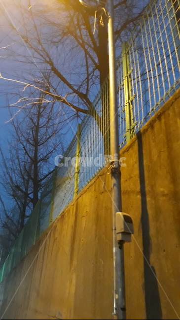 가로등,나무,저녁,빛,담벼락