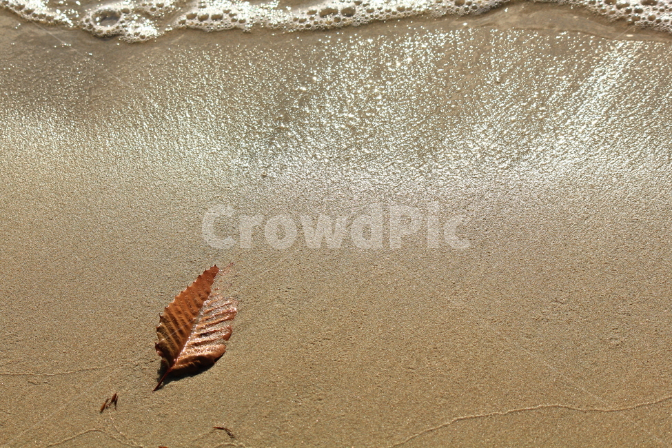 바닷가,해변,모래밭,힐링,감성,가을,계절,fall,autumn,season,해변,바다,beach,sea