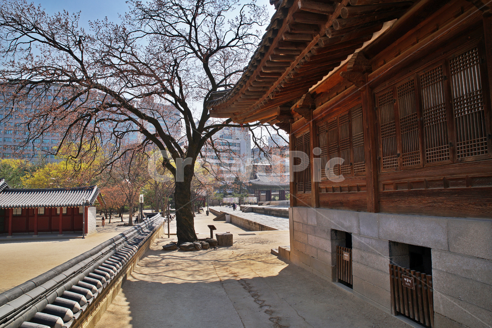 석어당,백골집,사적제124호,덕수궁,궁궐,한국전통,한국문화,korean traditional,korean culture,건축물,건물외관,exterior,building,structure,architecture,construction