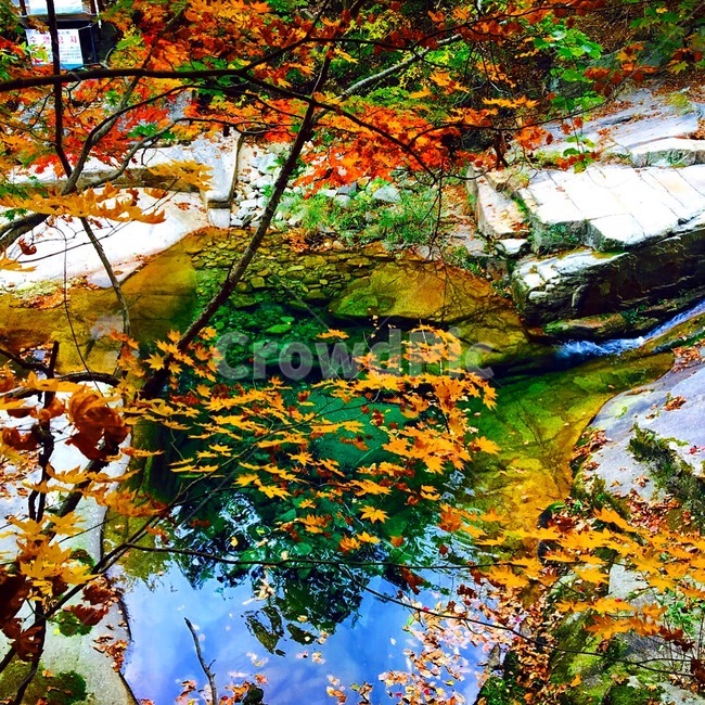 산,계곡,단풍,붉은,노오란,가을,계절,fall,autumn,season,자연,풍경,nature,landscape,plant,식물,leaf,잎,tree,나무