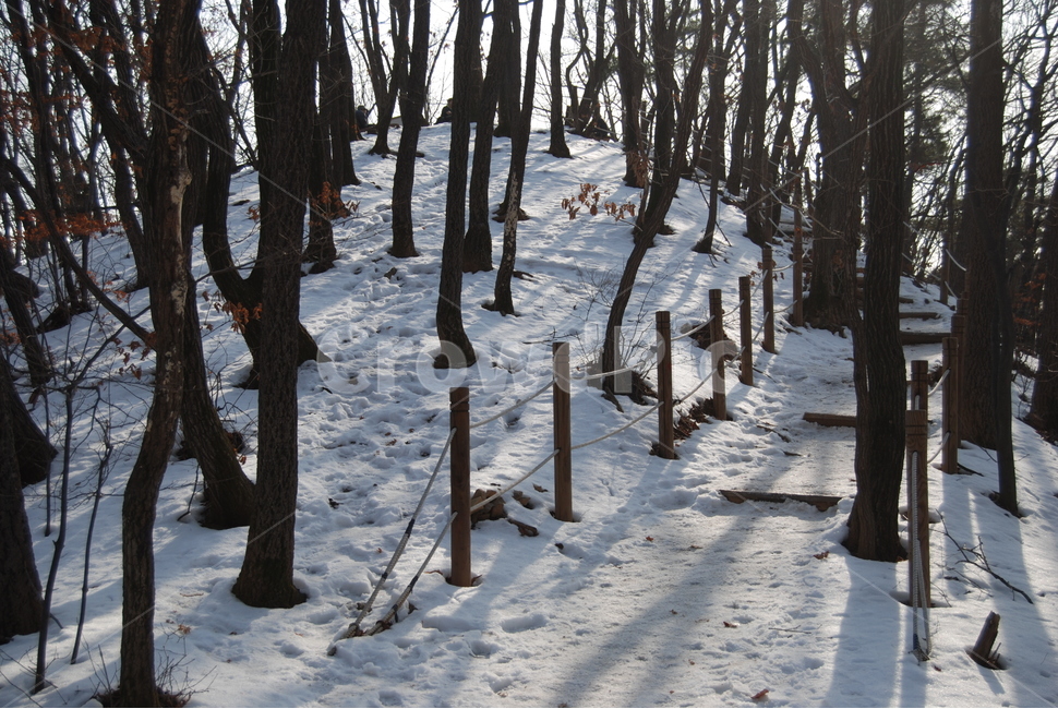 광덕사,장군바위,박씨샘,자연의위대함,등산로,능선,아름다움,신비스런산,돌,산행,힐링,자연,감성,등산,계절,여행,한국,한국명산,한국등산,풍경,눈,나무,하늘,바람,바람소리,환경,생태계,산,땅,겨울,계절,winter,season,자연,풍경,nature,landscape,한국자연풍경,한국자연경관,korea nature landscape,plant,식물,tree