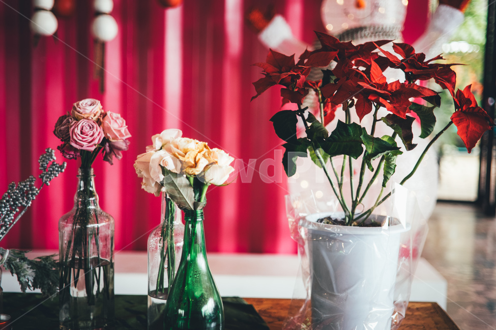 꽃,감성,화분,테이블,유리병,화초,장미,꽃,flower,실내용화초,화분,화초,house plant,감성,sensible,feeling,인테리어,실내디자인,interior design