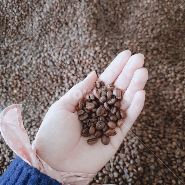 커피,커피콩,원두,카페,로스팅,커피,카페,coffee,cafe