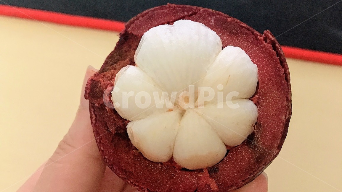 mangosteen,망고스틴,열대과일,tropicalfruit,fruit,과일,과일,열매,fruit