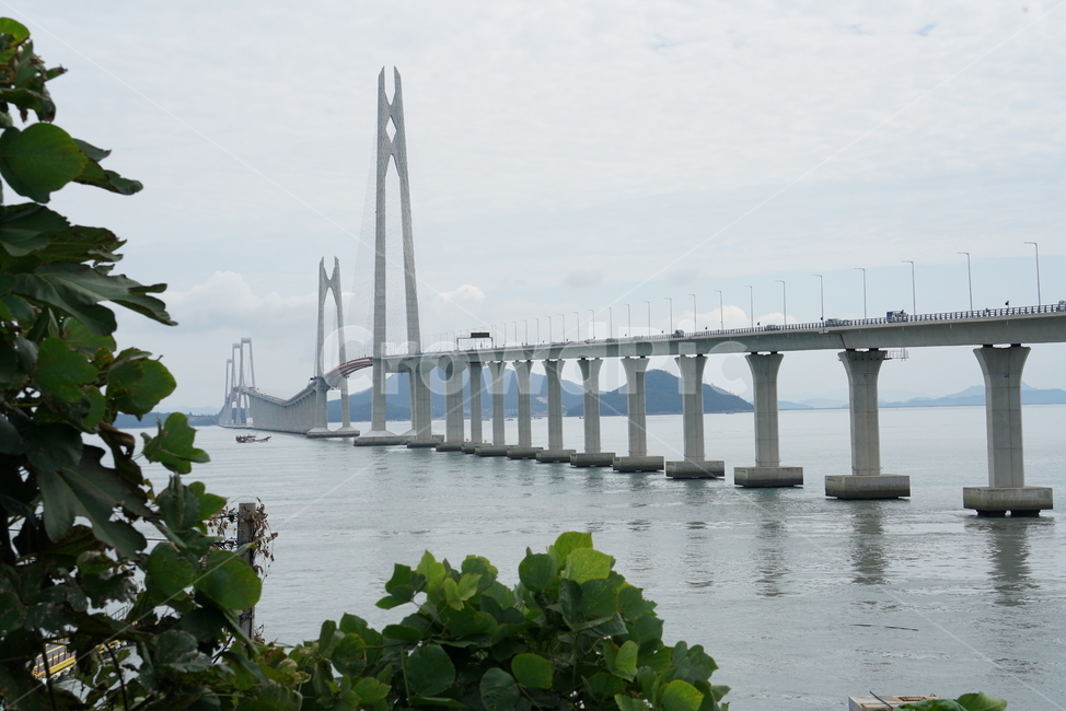 천사대교,신안군,압해도,암태면,천사섬,사장교,현수교,다리,bridge