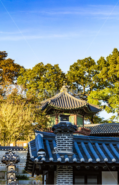 창덕궁,고궁,기와담장,전통굴뚝,정자,누각,전통건축,문화유산,전통담장,문화재,기와지붕,한국의미,전통기와,건축물,건물,지붕,한국전통,한국문화,korean traditional,korean culture,건축물,건물외관,exterior,building,structure,architecture,construction