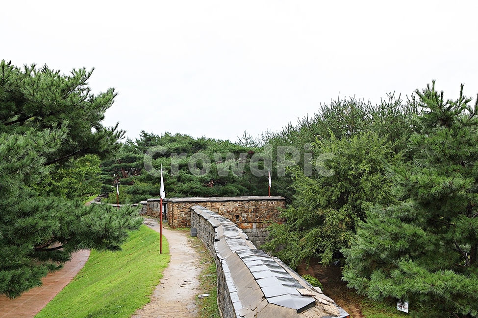 수원화성,성,성곽,길,둘레길,담,돌담,가을,자연,풍경,벽,방어벽,전통,흙담,식물,자연,풍경,nature,landscape,flagstone,판석