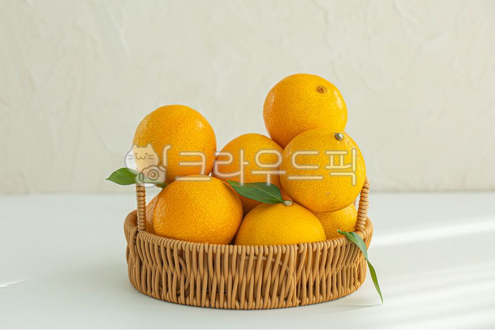 과일,감귤류,귤,천혜향,한라봉,레드향,황금향,제주도,비타민c,감귤