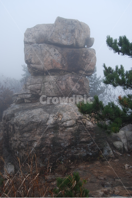 천관산,도립공원,장흥,100대명산,바위,나무,자연,풍경,nature,landscape,한국자연풍경,한국자연경관,korea nature landscape,outdoors,옥외,cliff,낭떠러지