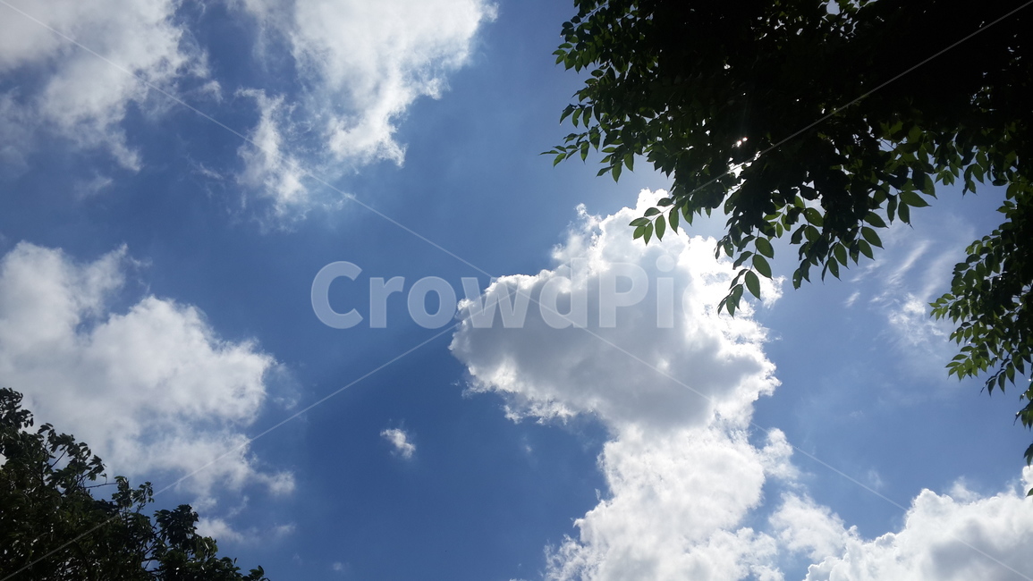 인도네시아,자카르타,하늘,나무,푸른하늘,indonesia,jakarta,blue,bluesky