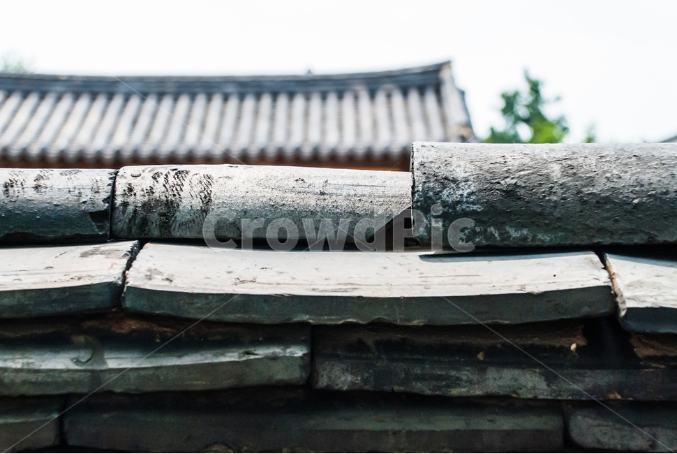 고건축,고궁,전통,민족,처마,기와,문화재,역사,궁전,세계문화유산,유적,한국전통,전통문화,가옥,전통가옥,지붕,기와지붕,건물,한국,아시아,동양,궁궐,명소,유적지,조선,조선시대,경북궁,배경,한옥,단청,문양,전통문양,문화,한국문화,보존,유물,오래된,유명한,목조건물,민속촌,학습자료,담,담장,한국전통,한국문화,korean traditional,korean culture,건축물,건물외관,exterior,building,structure,architecture,construction