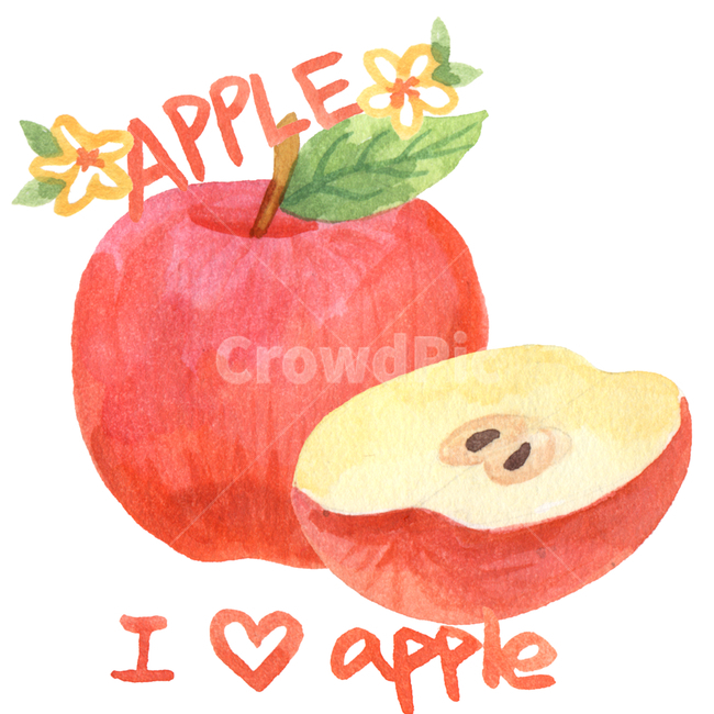 사과,과일,디저트,꽃,후식,휴식,음식,apple,수작업,수채화,일러스트,삽화,과일,열매,fruit,그래픽,일러스트레이션,graphic,illustration
