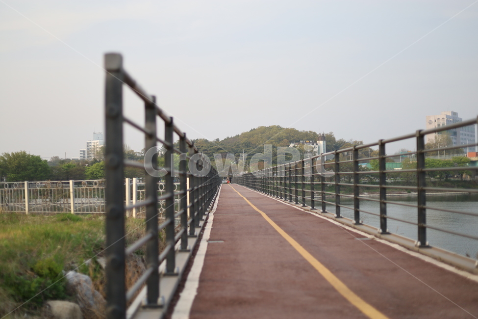 자전거도로,평택호,라이딩코스,산책로,직선도로,평택호관광단지