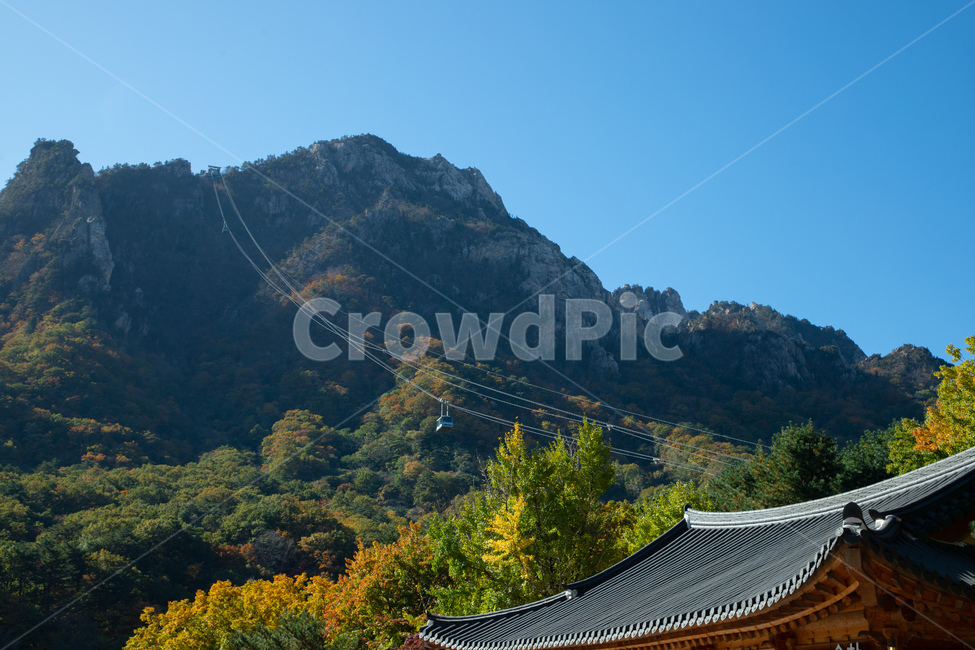 설악산,설악산공원,공원,권금성,나무,자연,식물,단풍나무,park,tree,nature,mountain,산,maple,자연,풍경,nature,landscape,한국자연풍경,한국자연경관,korea nature landscape