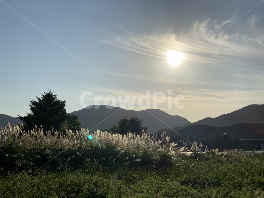 자연,outdoors,nature,풍경,하늘,가을,자연,풍경,nature,landscape,flare,플레어,light,빛,옥외