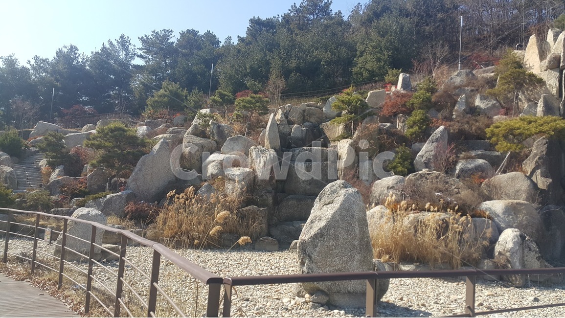 자연,바위,돌,나무,nature