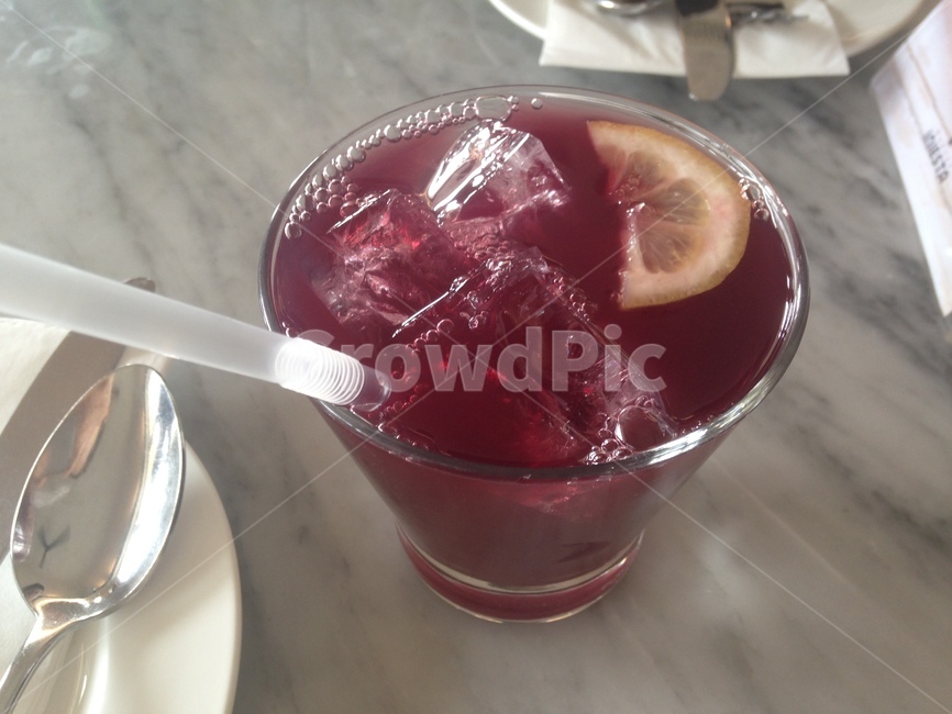 샹그리아,sangria,drink,beverage,wine,와인