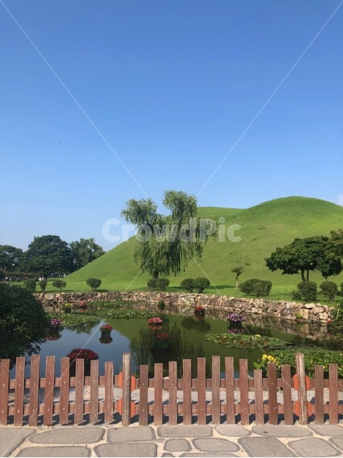 경주,대릉원,나무,자연,연못,풍경