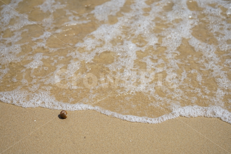 	바다,껍데기,해변,모래사장,모래,조개껍데기,소라,고동,골뱅이,껍질,비치,beach,sand,바닷가,풍경,느낌,감성,생명,해수욕장,해변,바다,beach,sea