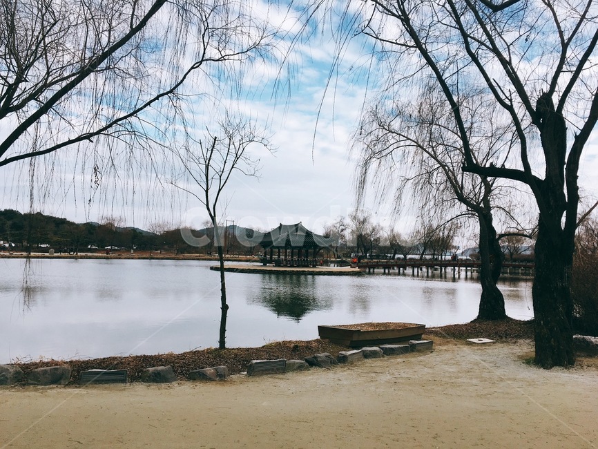 water,outdoors,물,옥외,nature,자연,저수지,강,나무,자연,풍경,nature,landscape