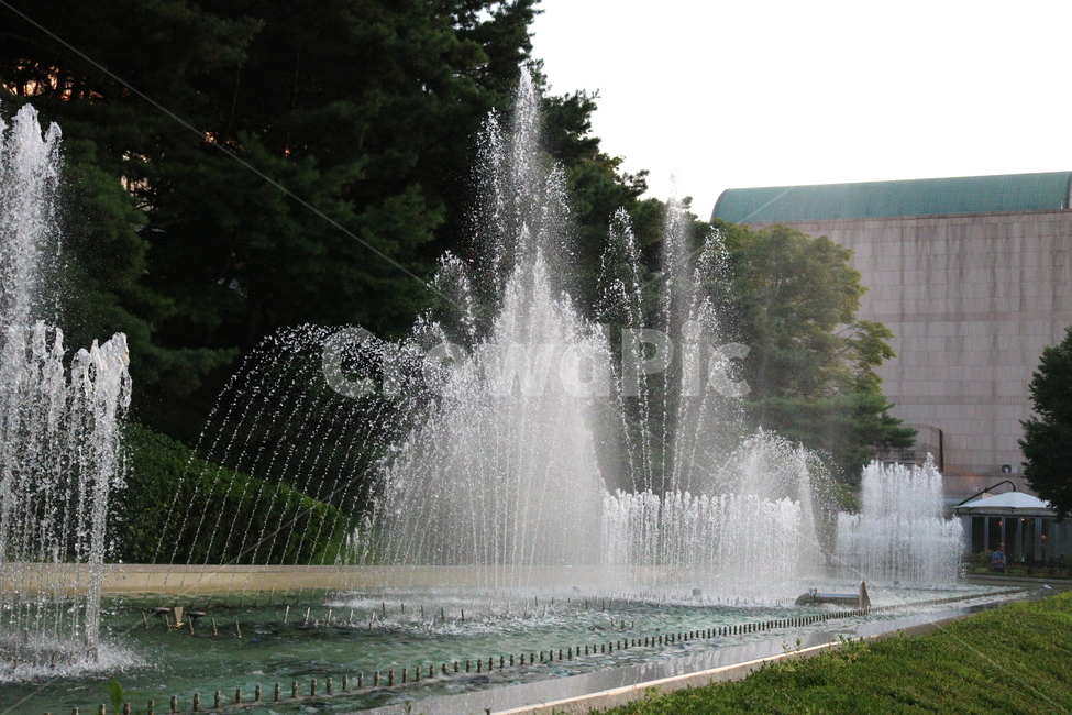 분수,분수대,물,공원,예술의전당,나무,소나무,자연,풍경,nature,landscape,water,fountain