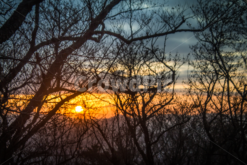 일출,해돋이,새해,붉은하늘,풍경,어등산,광주,해,아침,자연,dawn,자연,풍경,nature,landscape