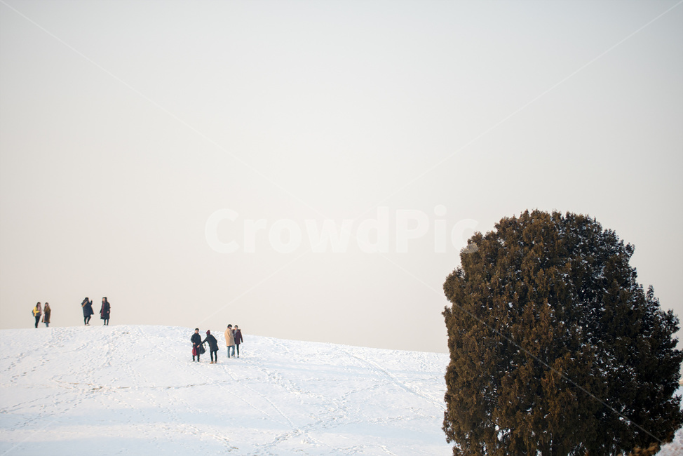 인간,person,사람,nature,자연,outdoors,옥외,snow,눈,winter,겨울,snowman,눈사람,안경,역광,올림픽공원,사람들,먼발치,나홀로,나무,겨울,계절,winter,season,자연,풍경,nature,landscape