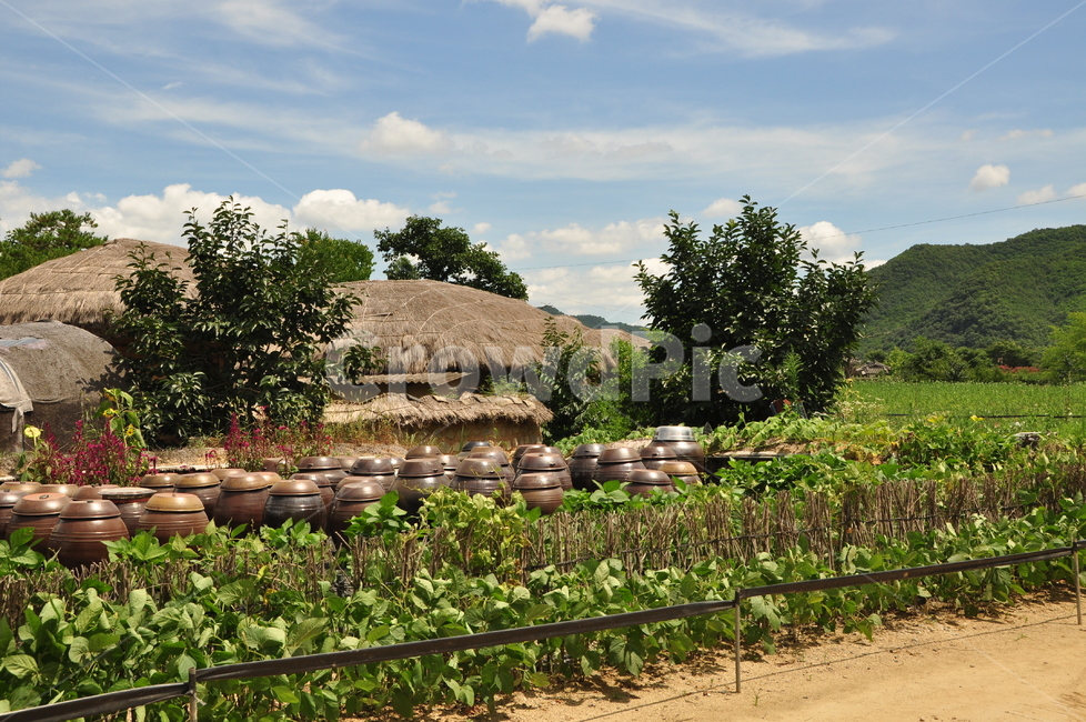 장독대,농촌,초가집,자연,시골,시골,마을,풍경,landscape,country,rural,town,한국전통,한국문화,korean traditional,korean culture