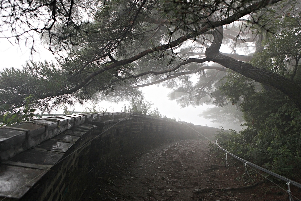 남한산성,성,성곽,둘레길,길,숲,숲길,안개,돌담,담