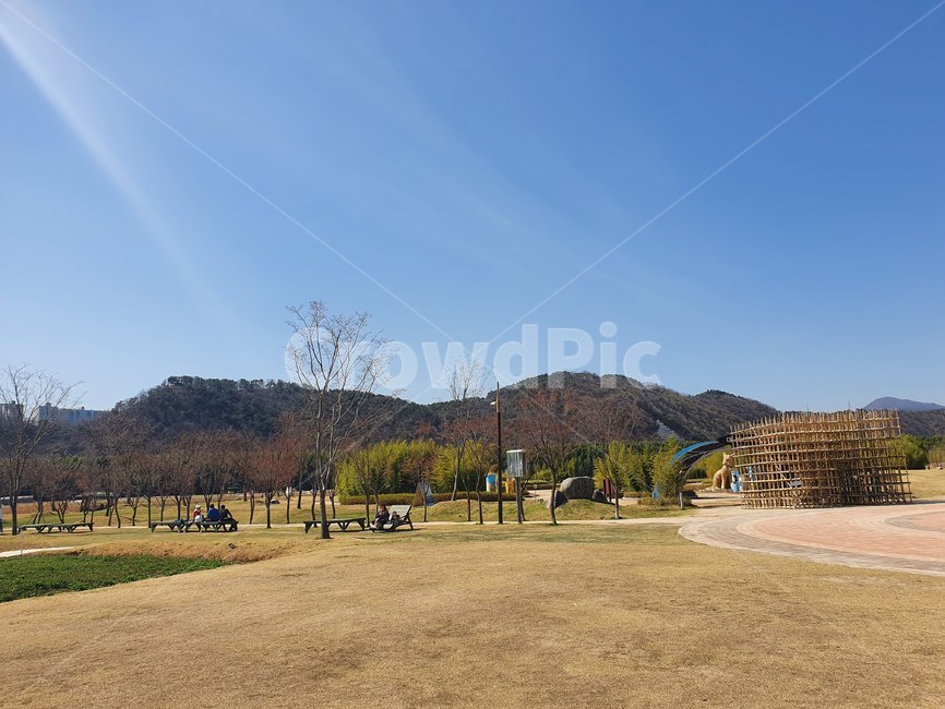outdoors,옥외,잔디,자연,nature,plant,식물,tree,나무,공원,산책,대나무,숲,하늘,봄,봄날,오솔길,산책길,forest,sky,spring,road,sand,park,울산,울산대공원,대공원