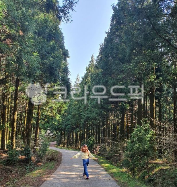 person, 사람, walking, 걷는, tree, 사진,이미지,일러스트,캘리그라피 - 비바샐리작가
