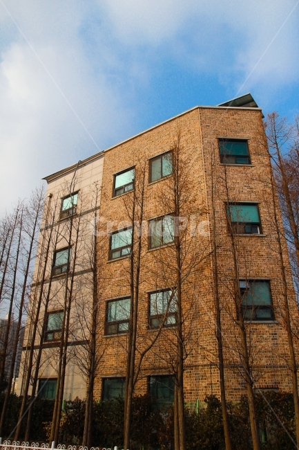 건물,빌딩,나무,조화,bilding,자연,건축물,건물외관,exterior,building,structure,architecture,construction
