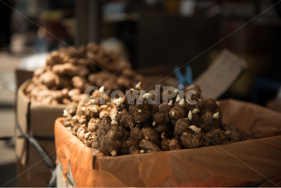 약재,한의학,생강,한방,한약,시장,전통,제기동,약재시장,시장,마트,마켓,market,mart,market place,한국전통,한국문화,korean traditional,korean culture,사람,인물,인간,human,person,신체일부,몸,body,건강,헬스웨어,헬스케어,healthware,health care,의료,의학,병원,medical,hospital,clinic