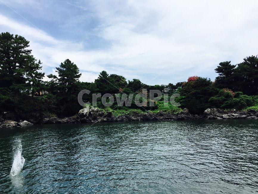 제주도,말,자연,초록초록,산