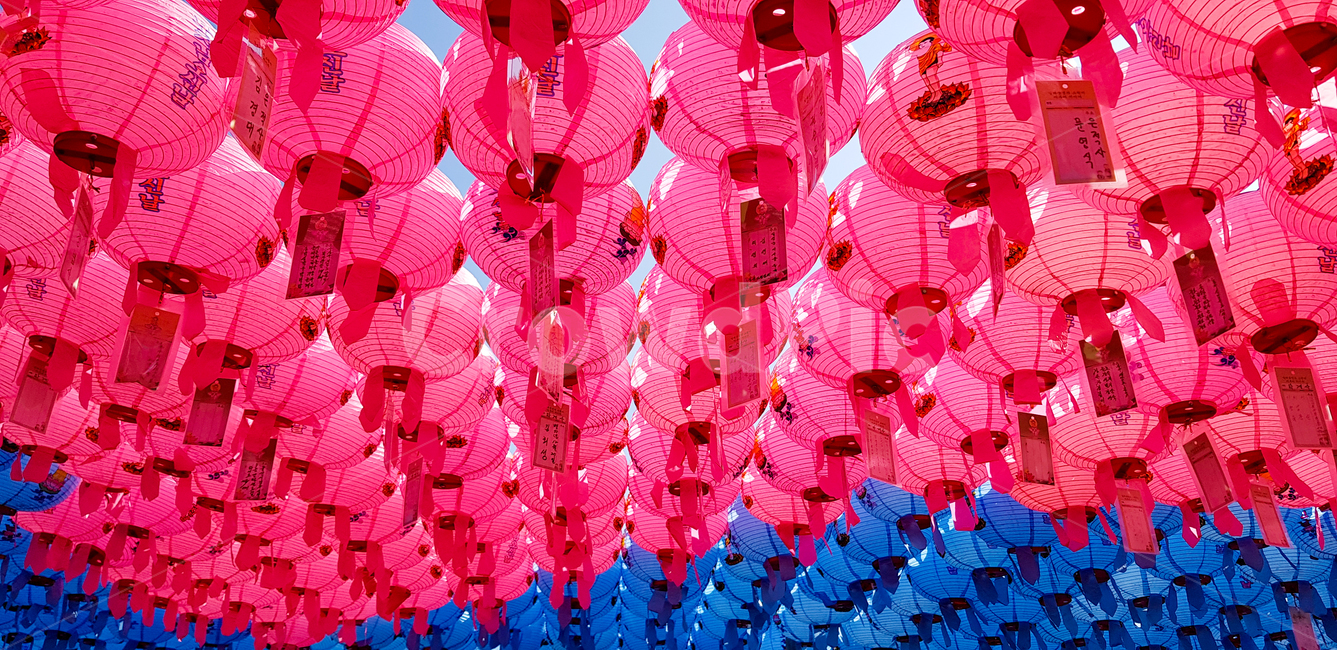 연등,팔공산,풍등,절,동화사,lotuslanttern,종교,신앙,religion,belief,faith,축제,행사,festival,carnival,event