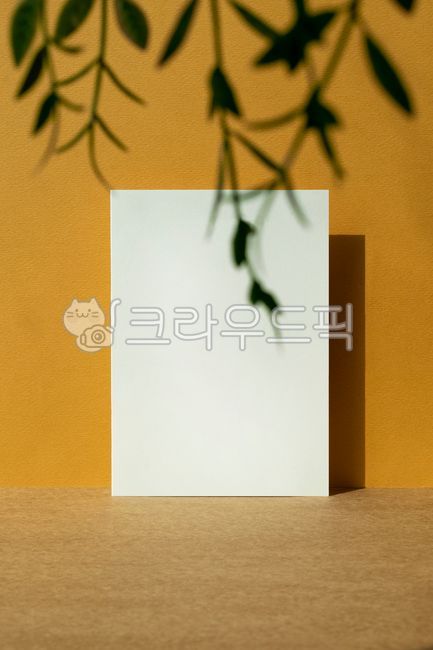 hundred,blank,deco,shadow,pattern,sign,memo,out of focus,White space,greeting card,Postcard,white paper,post,paper,copy space,gap,alarm,season,New Years card,retro,emptied,message,brown,mockup,sunlight,card mockup,vintage,background,plant,autumn,postit,ca