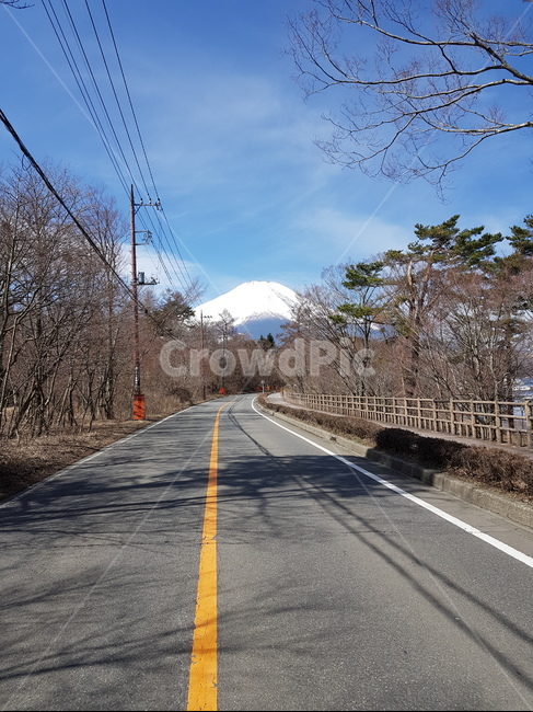 후지산,후지산도로,눈덮힌후지산,겨울후지산,도로,가로수,나무,중앙선