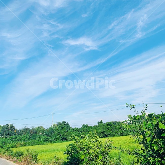 nature,자연,outdoors,옥외,road,도로,시골,구름,자연,풍경,nature,landscape
