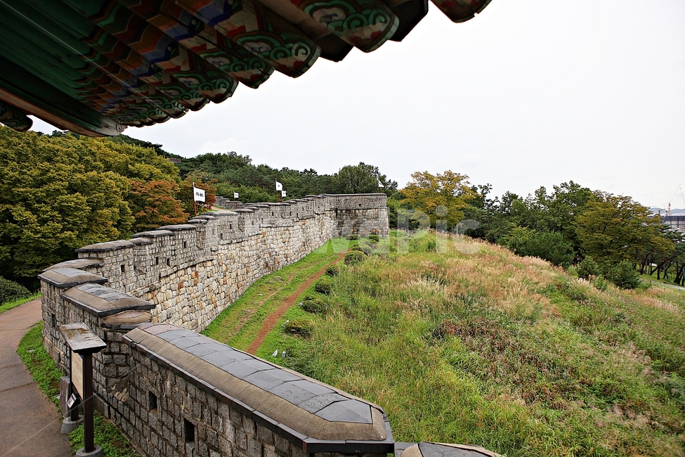 수원화성,성,성곽,길,둘레길,돌담,담,가을,자연,풍경,벽,방어벽,전통,흙담,식물,나무,산성,한국전통,한국문화,korean traditional,korean culture
